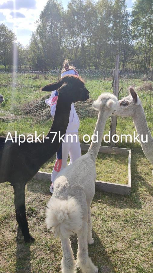 Roztocze,Całoroczny Domek Na Leśnym Wzgórzu,Krasnobród,Zamość,Zwierzyniec Zewnętrze zdjęcie